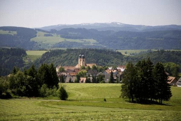 Gaestehaus Wald Und See Titisee-Neustadt Luaran gambar
